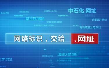 中文域名的未来 中文域名的优缺点解析